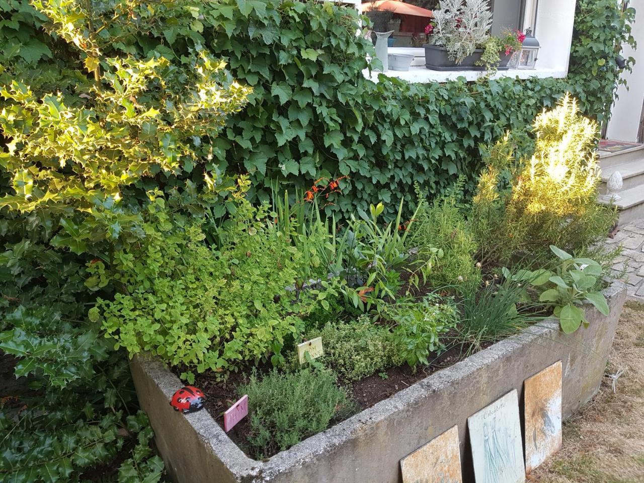L'Escarbotine Bed & Breakfast Friville-Escarbotin Exterior photo